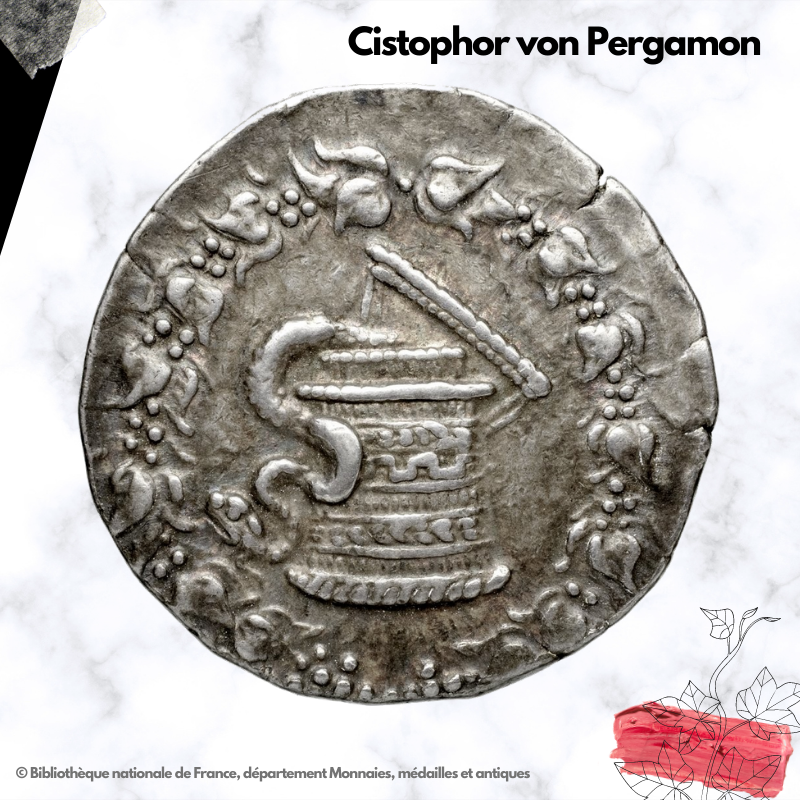 Cistophor von Pergamon