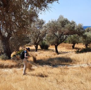 Fabiola läuft einen Tract im Survey